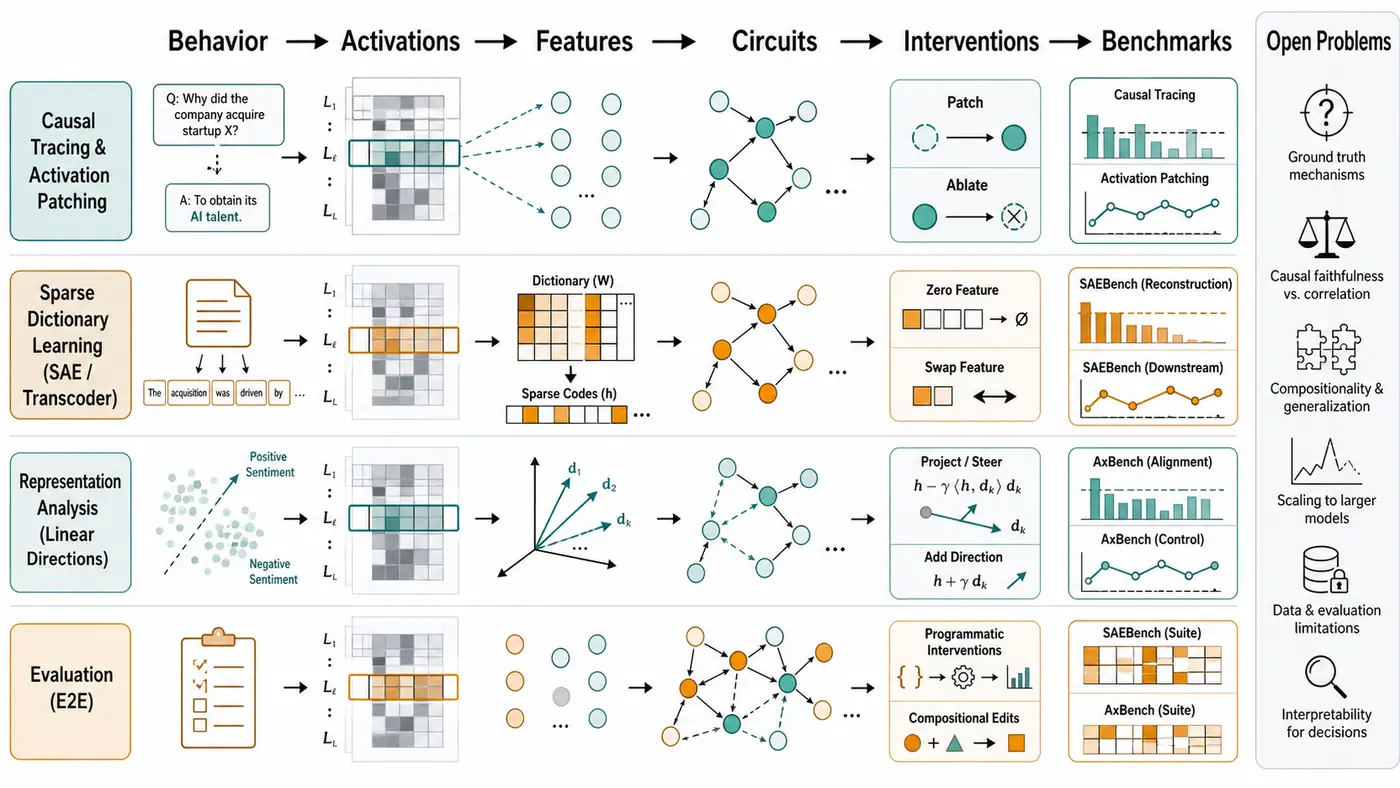 Mechanistic Interpretability 方法谱系图